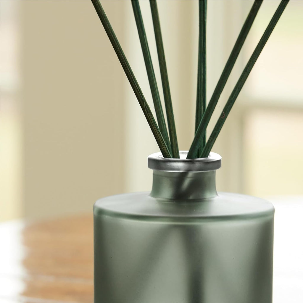 Thymes Petite Oil Reed Diffuser Set – Includes Reed Diffuser Sticks, Fragrance Oil, & Glass Bottle – Luxury Home Decor – Holiday Decor – Winter Scents – Sage-Green (Highland Frost, 4 fl oz)