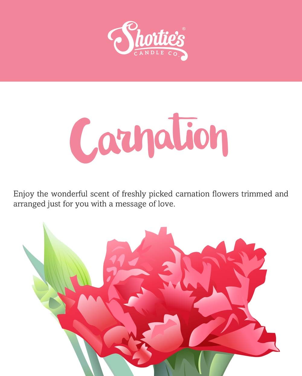 Shortie's Candle Company Pure Carnation Premium Wax Melts 4 Pack - 12 Oz., Strong & Long Lasting, Non-Toxic - Made with Essential & Natural Oils - Formula 117
