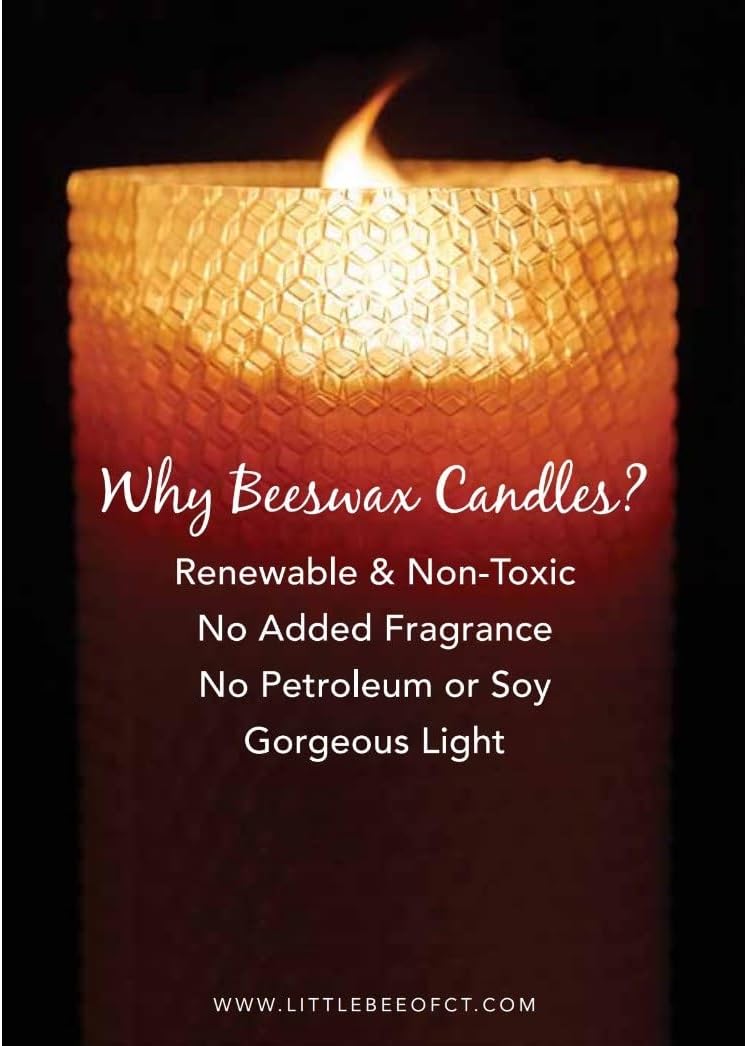 8 Inch Hand-Rolled Beeswax Taper Candles - Little Bee of CT (Three Pairs)