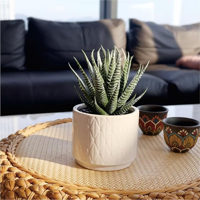 6.7'' High Artificial Succulents, Succulents Plants Artificial