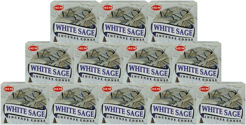 White Sage Incense Cones and Cone Incense Burner Bundle Insence Insense Hem Incense