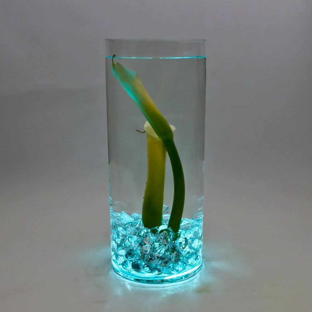 Halloween Submersible LED Lights cr2032 Battery Powered (Pack of 12) (Teal)