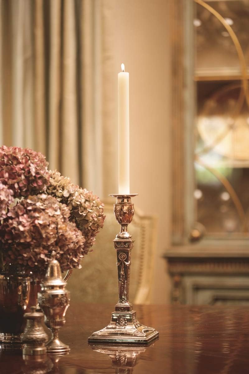 Root Candles 12-Count Unscented Timberline Arista Candles, 12-Inch, Ivory