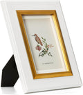 5x7 White Wood Picture Frame with Real Glass, Gold Inner Border, Matted to 4x6, Vertical and Horizontal for Tabletop or Wall Hanging