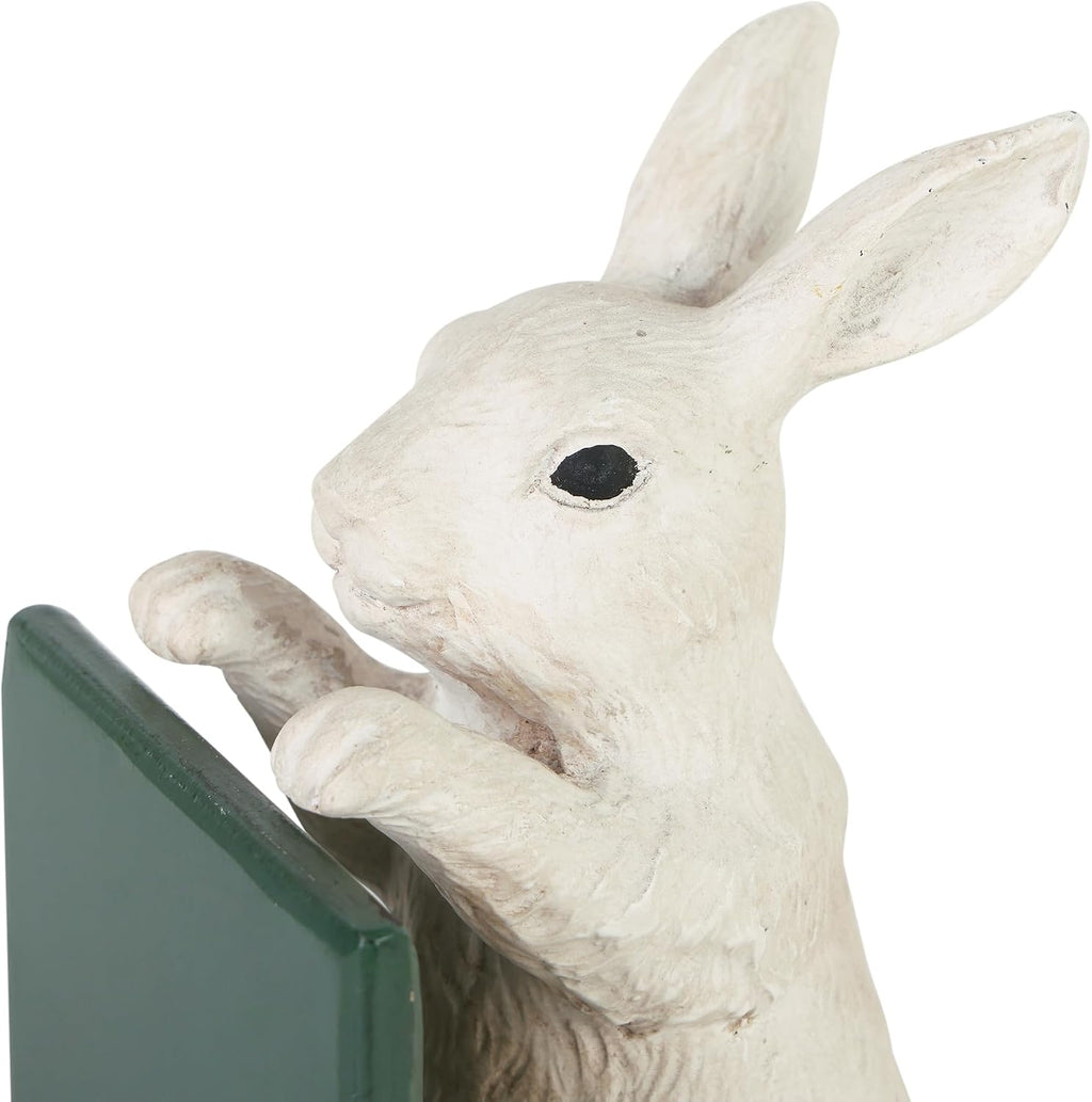 NIKKY HOME Heavy Duty Non Slip Rustic Bunny Metal Bookend Cute Rabbit Book Ends Book Stoppers for Easter Decor Home and Office Shelves