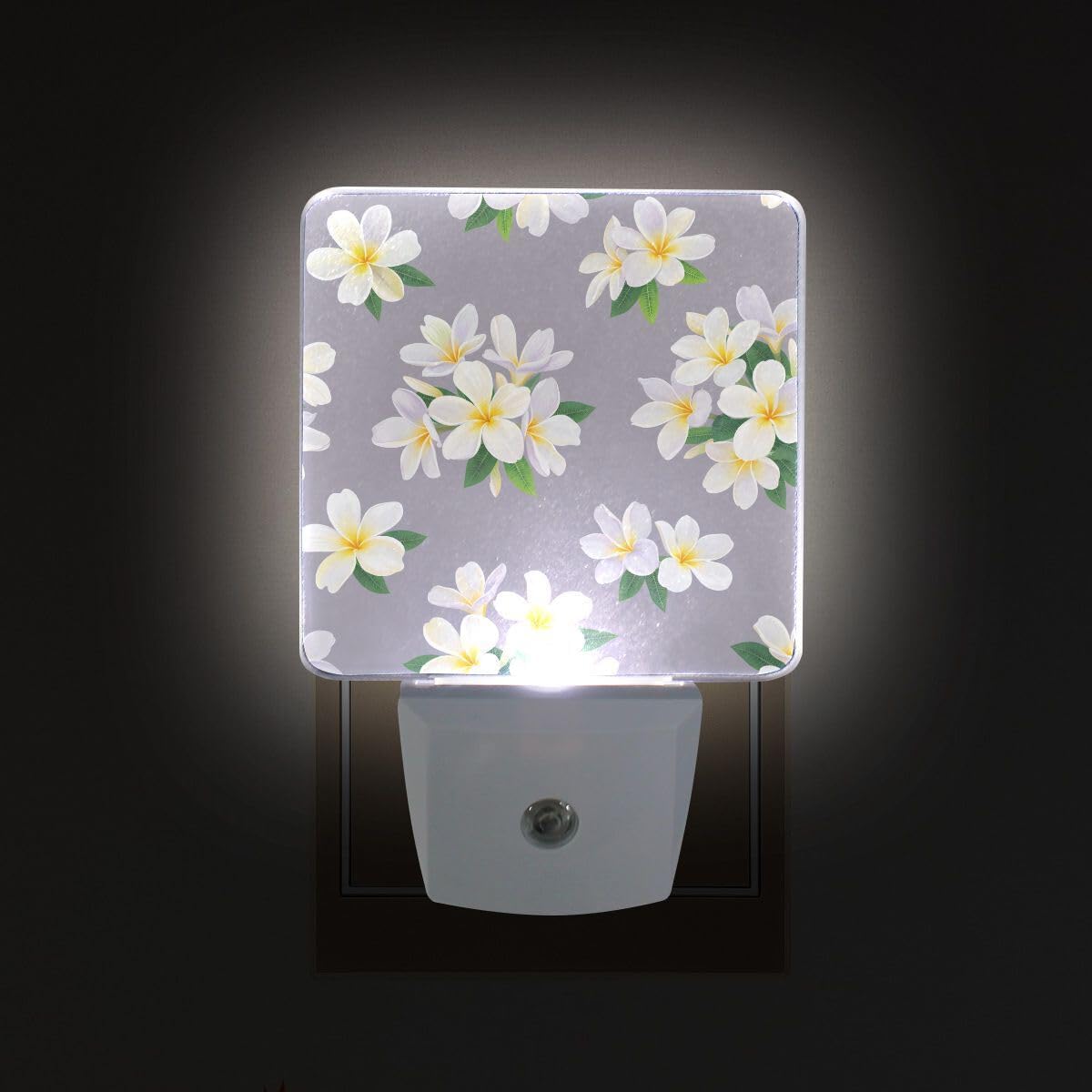 Plug-in LED Night Light Lamp Tropical Plumeria Flowers Printing with Dusk to Dawn Sensor for Bedroom, Bathroom, Hallway, Stairways, 0.5W-2 Pack