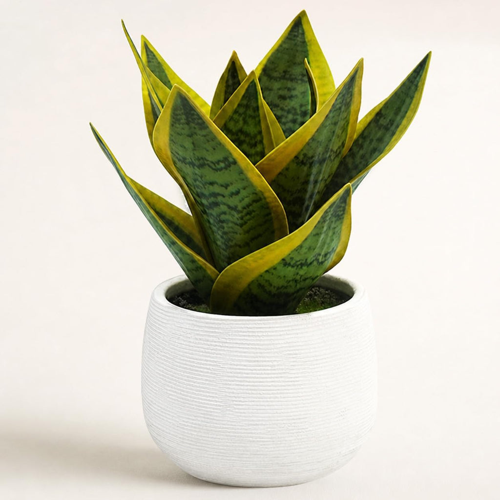 8" Fake Snake Plant in White Ceramic Pot,Small Fake Plant