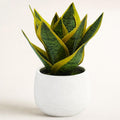 8" Fake Snake Plant in White Ceramic Pot,Small Fake Plant