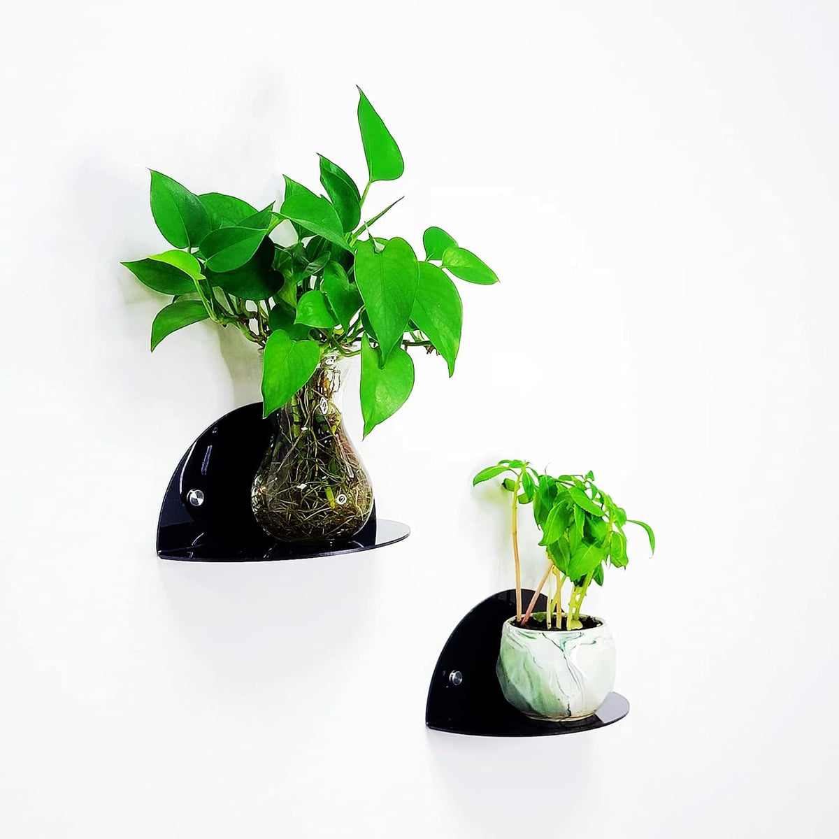 ROYALITA 2-Pack Small Acrylic Shelves Room Decor Floating Shelves, Black