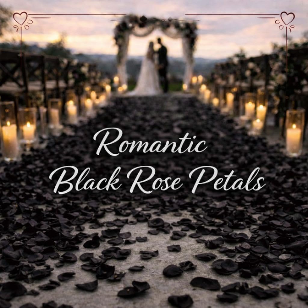 3000 Pcs Rose Petals Artificial Flowers Silk Petals Table Scatters for Romantic Special Night Decorations, Weddings, Valentine's Day, Proposals, Anniversaries, Bridal Showers Party Decor (Black)