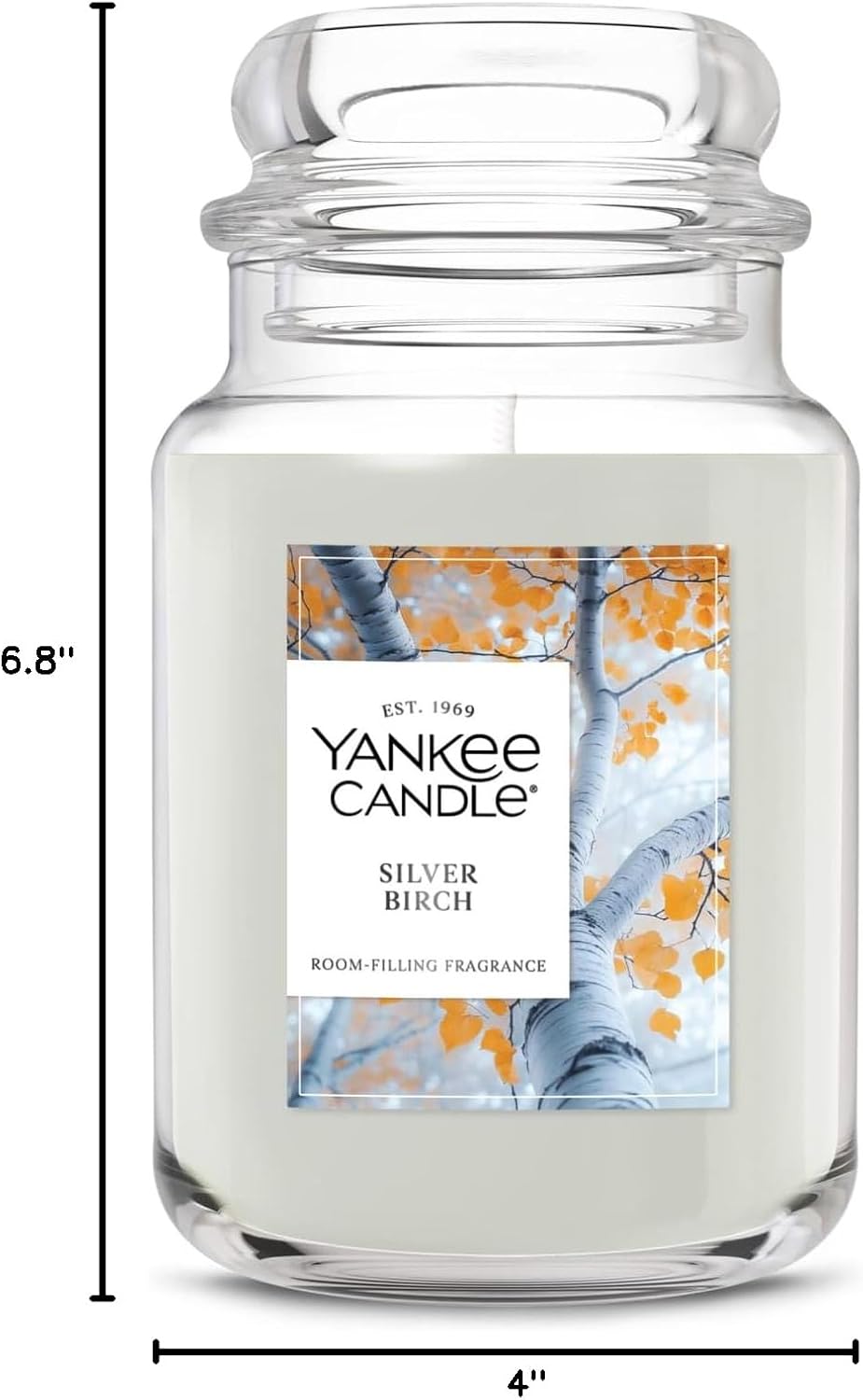 Yankee Candle Silver Birch Scented Candle, 22oz Large Jar