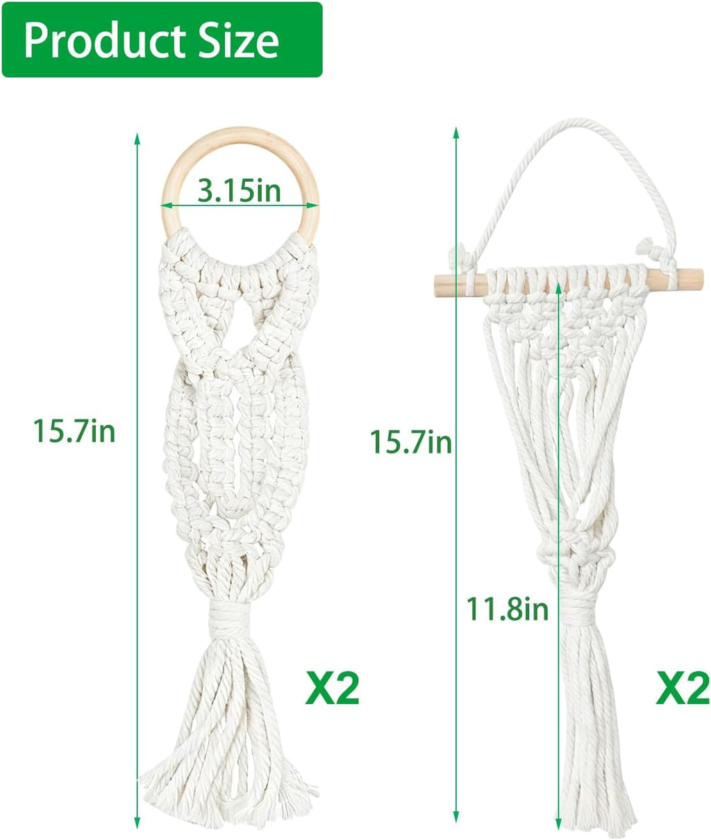 Belit 4 Pack Air Plants Holders with 4 Hooks, NO Plant Included