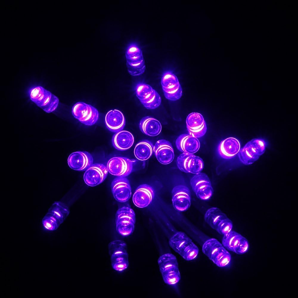 Super Z Outlet 30 Mini Bulb LED Battery Operated Fairy String Lights in Purple for Valentines Day, Romantic Wedding, Home Decoration Room Lighting, Christmas, Crafts (158" inch Long String)