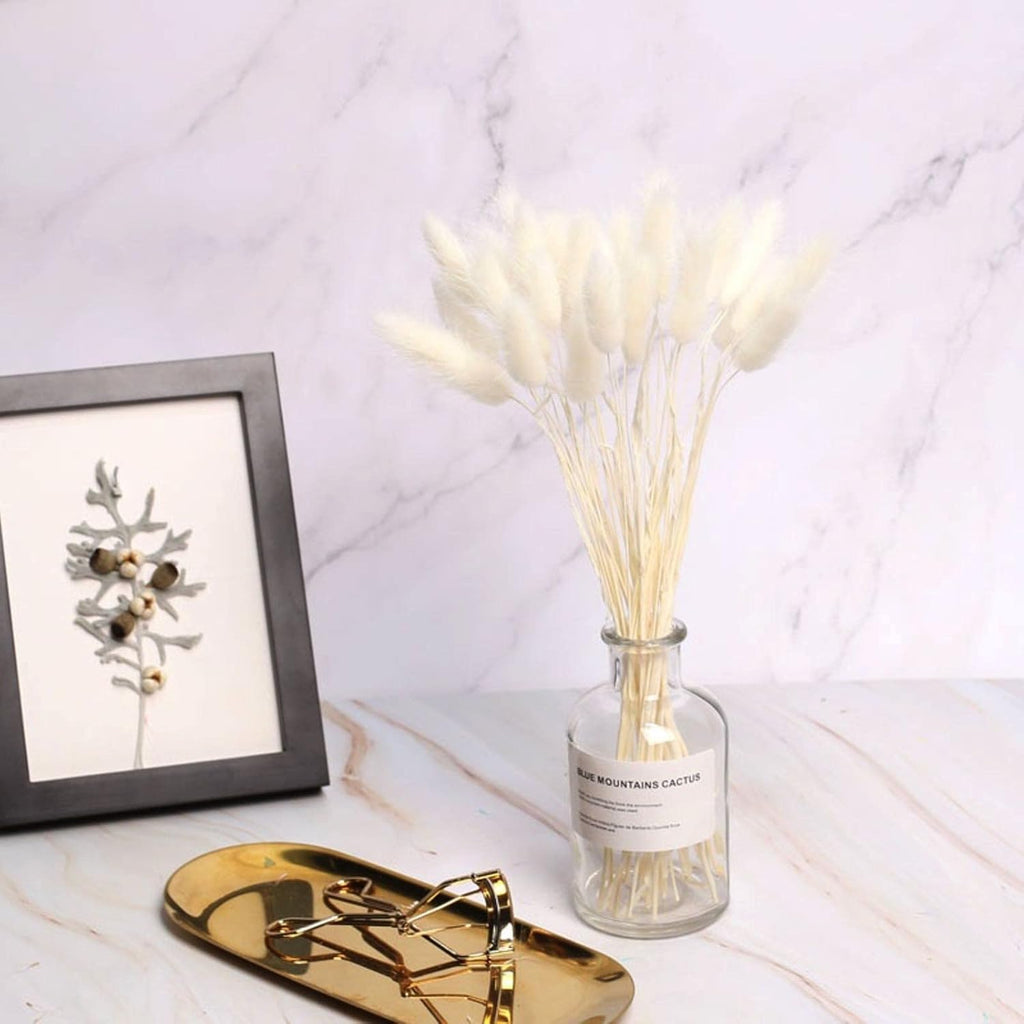 Natural Dried Bunny Tail Grass - 110~120 Stems Rabbit Tail Grass, Lagurus Ovatus for Boho Decor, Dried Pampas Grass Flower Arrangements Wedding Home Kitchen Office Decor (White)