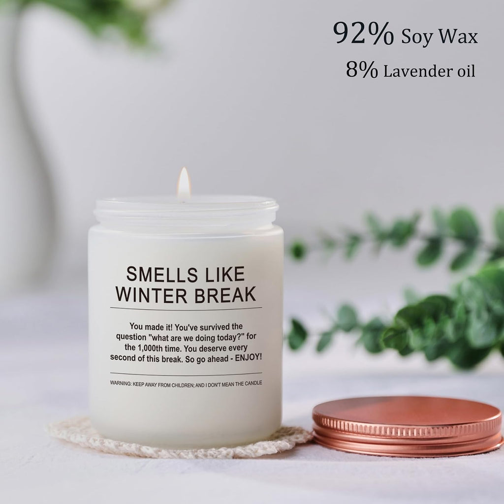 Appreciation Gift for Women Funny Winter Break Christmas Student Teacher Gifts Scented Soy Candle