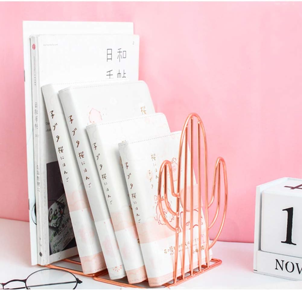 Winterworm Metal Bookends Book Ends Heavy Duty Modern Decorative for Bedroom Library Office School Book Display Desktop Organizer Gift (Cactus Rose Gold)