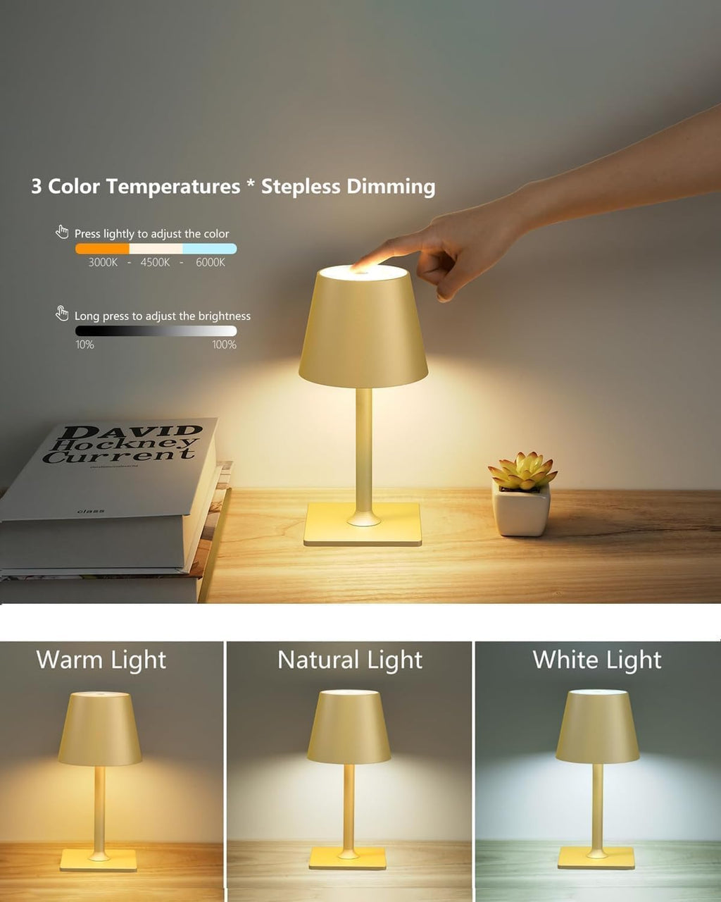 Fizrice Rechargeable Table Lamp Cordless Battery Operated, Gold 2 Pack