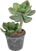 Hollyone Large Artificial Succulent Plants Fake Two-Head Succulents Agave Plant Potted 13" Faux Plant in Vintage Cement Pot Succulent Aloe Indoor for Home Office Living Room Table Shelf Decor