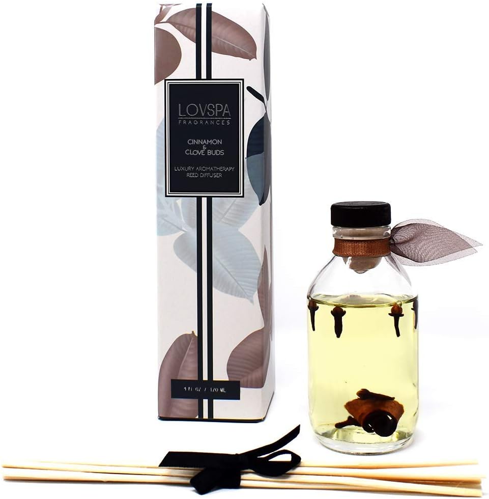 Reed Diffuser Set - Cinnamon & Clove Buds Scented Diffuser with Sticks