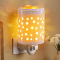 Bobolyn Plug in Wax Warmer Burner Electric Outlet Wall Plug-in Electric Wax Melt Warmer for Scented Melts Essential Oil Home Decor Gifts for Women