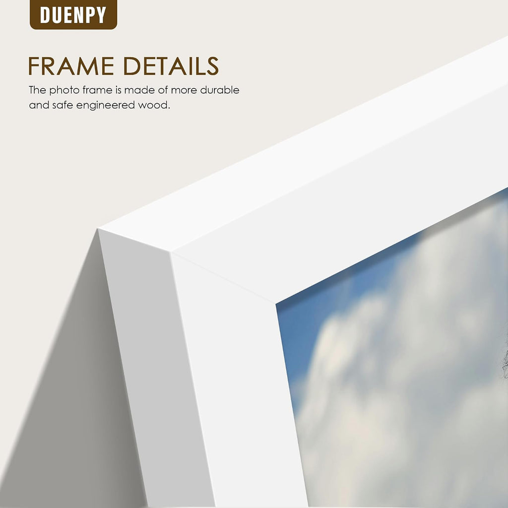 DUENPY 5 Folding 4x6 Accordion Wood Frame Plexiglass White