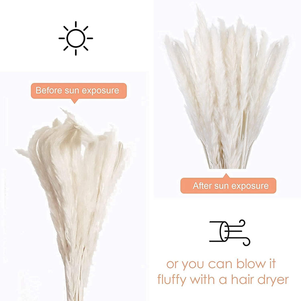 60 Pcs White Pampas Grass ,17 inch/45 cm Natural Dried Pampas Grass Branches Decor for Home Kitchen Garden Party Photographing Flower Arrangement Vase Decor（White