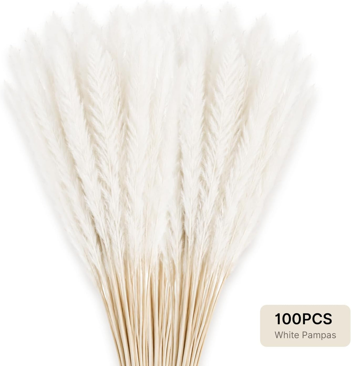 LIAN 100 Pcs White Small Pampas Grass Bouquet, Dried Reeds for Boho Decor