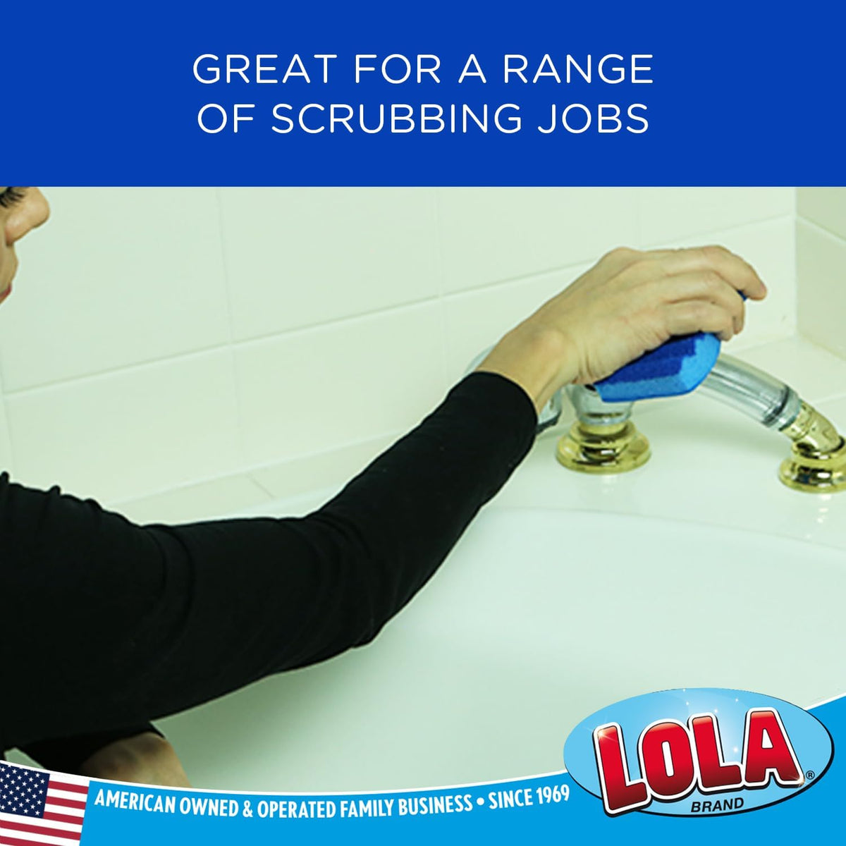 LOLA All Purpose Scrub Sponge, 12 Pack, Made in USA Scrub Sponge- Superior Technology, Non-Scratch, Long Lasting - Dishes, Mugs, Non-Stick Cookware