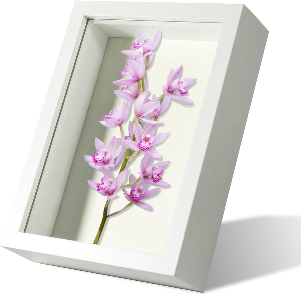 4x6 Small White Shadow Box Frame Display Case