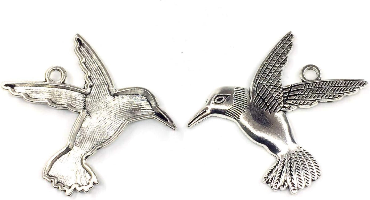Hummingbird Shower Curtain Hooks Rings Bird Garden Nature Spring Theme Decoration Stainless Steel Rustproof Set of 12 (Silver)