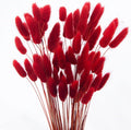 60pcs Dried Bunny Tails Flowers Red Pampas Grass Natural Dried Floral Arrangement Dry Flowers for Christmas Halloween Boho Decor Home Wedding DIY Craft Decoration (16")…