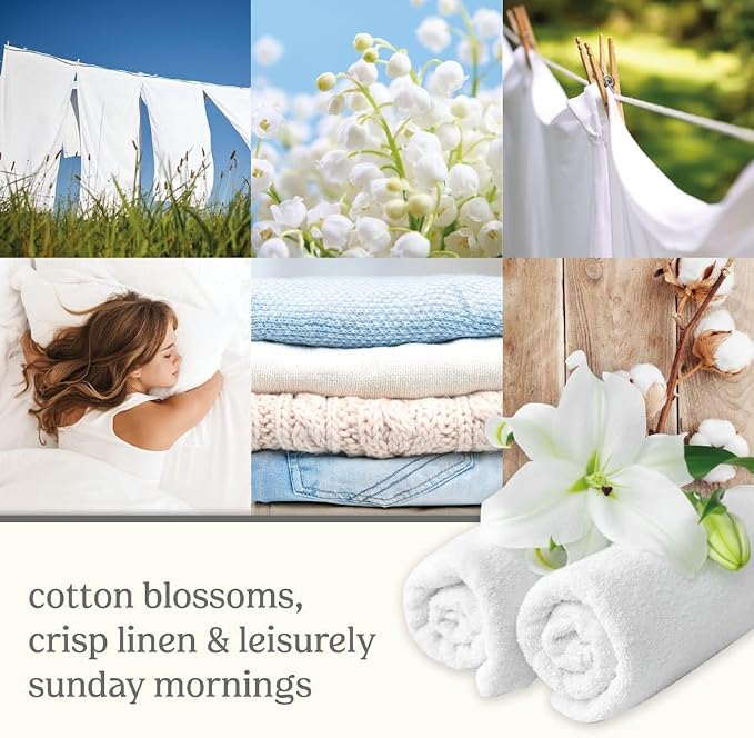 Yankee Candle Clean Cotton Fragranced Wax Melts, 6 Wax Spheres per Package, Pack of 6 (36 Cubes Total)
