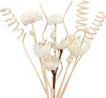 15 Reed Diffuser Sticks, Natural Paper & Floral Rattan Set
