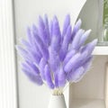 60PCS Rabbit Tail Grass Dried Flowers Dried Natural Floral (Purple)