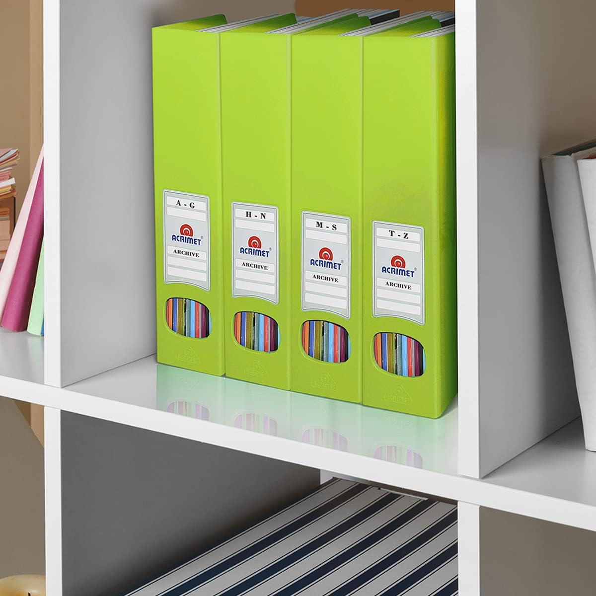 Acrimet Magazine File Holder, Vertical Desk Organizer, Green Citrus, 2 Pack
