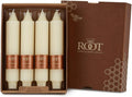 Root 4-Count Unscented Grecian Collenette Candles, 7-Inch, Ivory