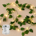 Vine Fairy Lights, 6.5FT 40 LEDs Pothos String Lights Indoor, 2 Pack