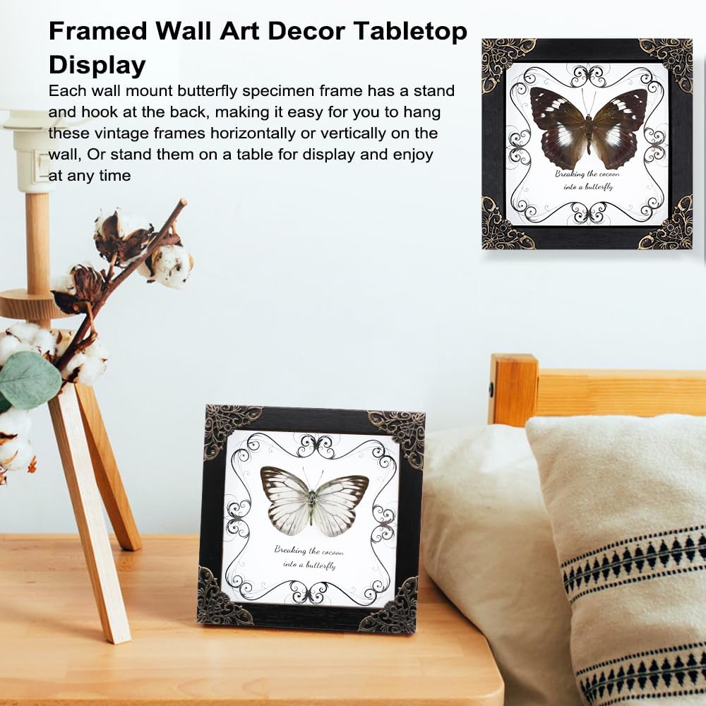 Butterfly Framed Decoration Handmade Taxidermy Butterfly Shadow Box Collection Framed Butterfly Taxidermy for Gothic Home Decor