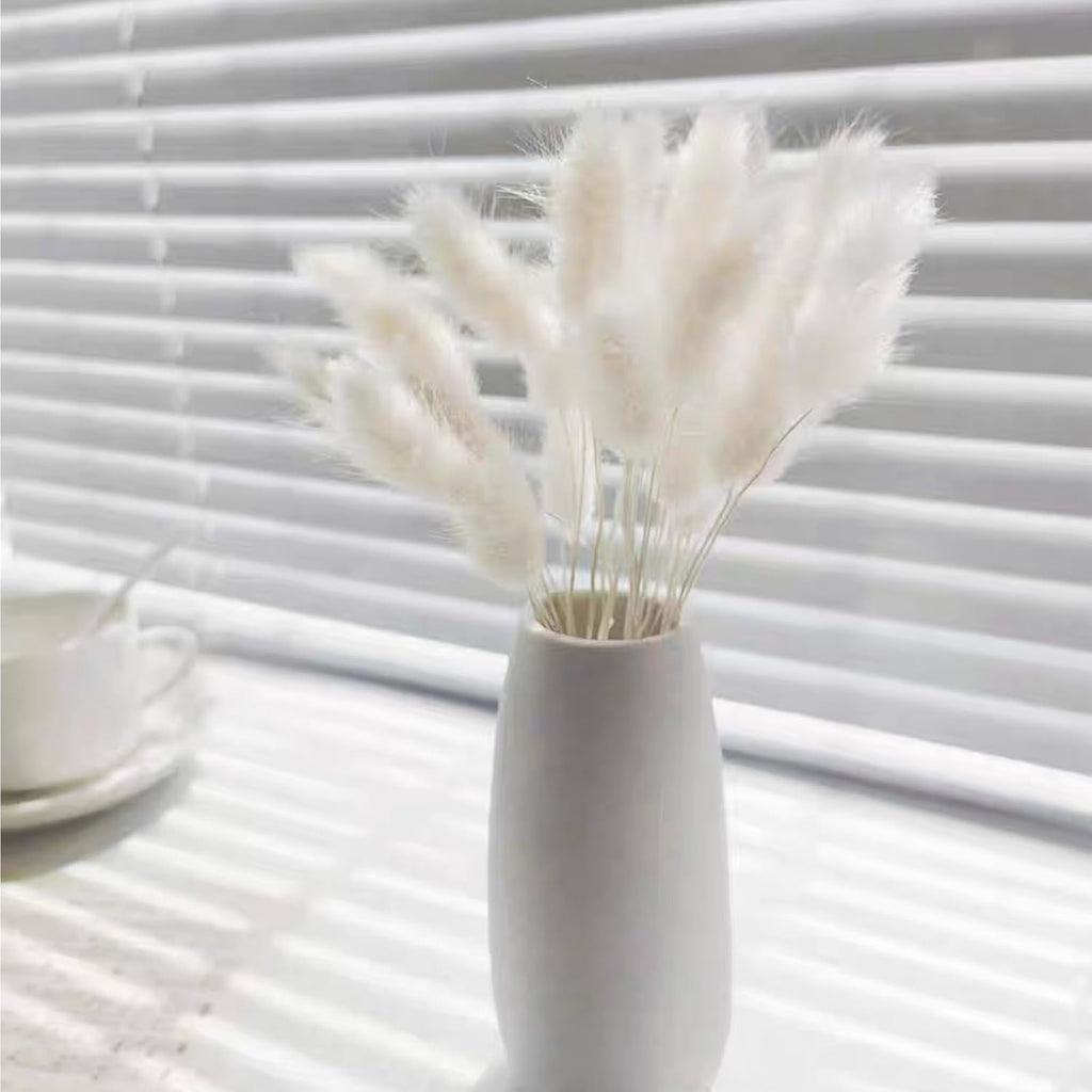 120pcs Bunny Tail Pampas Grass Dried Flowers for Vase Boho Flowers Dried Babys Breath Wedding Decor Dry Flowers for Vase (White 60PCS+Black 60PCS)