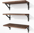 Fixwal Wall Floating Shelves for Home Decor (Brown, Set of 3, 16.5 Inch)