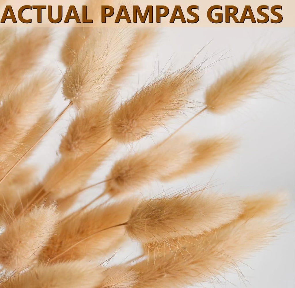 120 PCS Nature Dried Pampas Grass Decor, 17-inch Pompas Floral, Dry Flowers for Decoration, Pampas Grass in Bulk Tall, Nature Bunny Tails Dried Flowers for Boho Wedding Decor