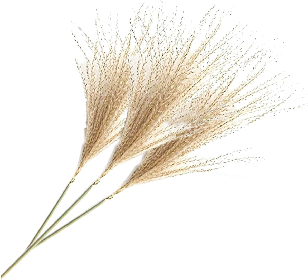 Uieke 500Pcs Natural Dried Pampas Grass Plume 17inch Tall Dried Flowers Bulk Reed Dried Plants for Wedding Flower Arrangements Farmhouse Wreath Door Centerpiece Home Décor Brown (Pack of 2)