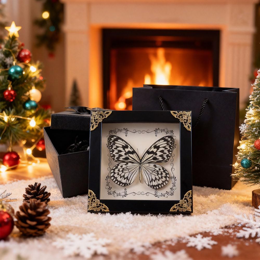 Real Framed Butterfly Taxidermy, Handmade Shadow Box Collection