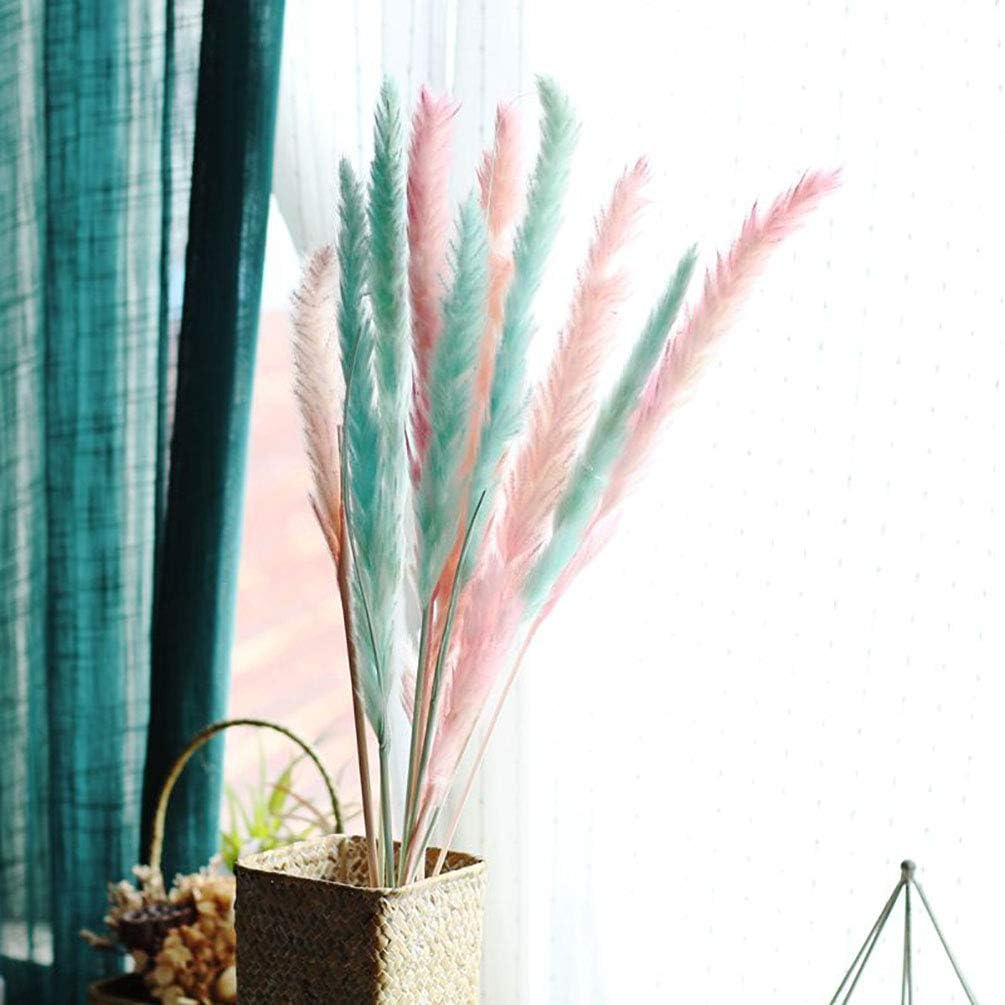 60 Stems 22 Inch Natural Dry Flowers Small Pampas Grass, Phragmites Communis, Dried Flowers Bouquet for Wedding Floral Arrangements Home Decorations (Pink)