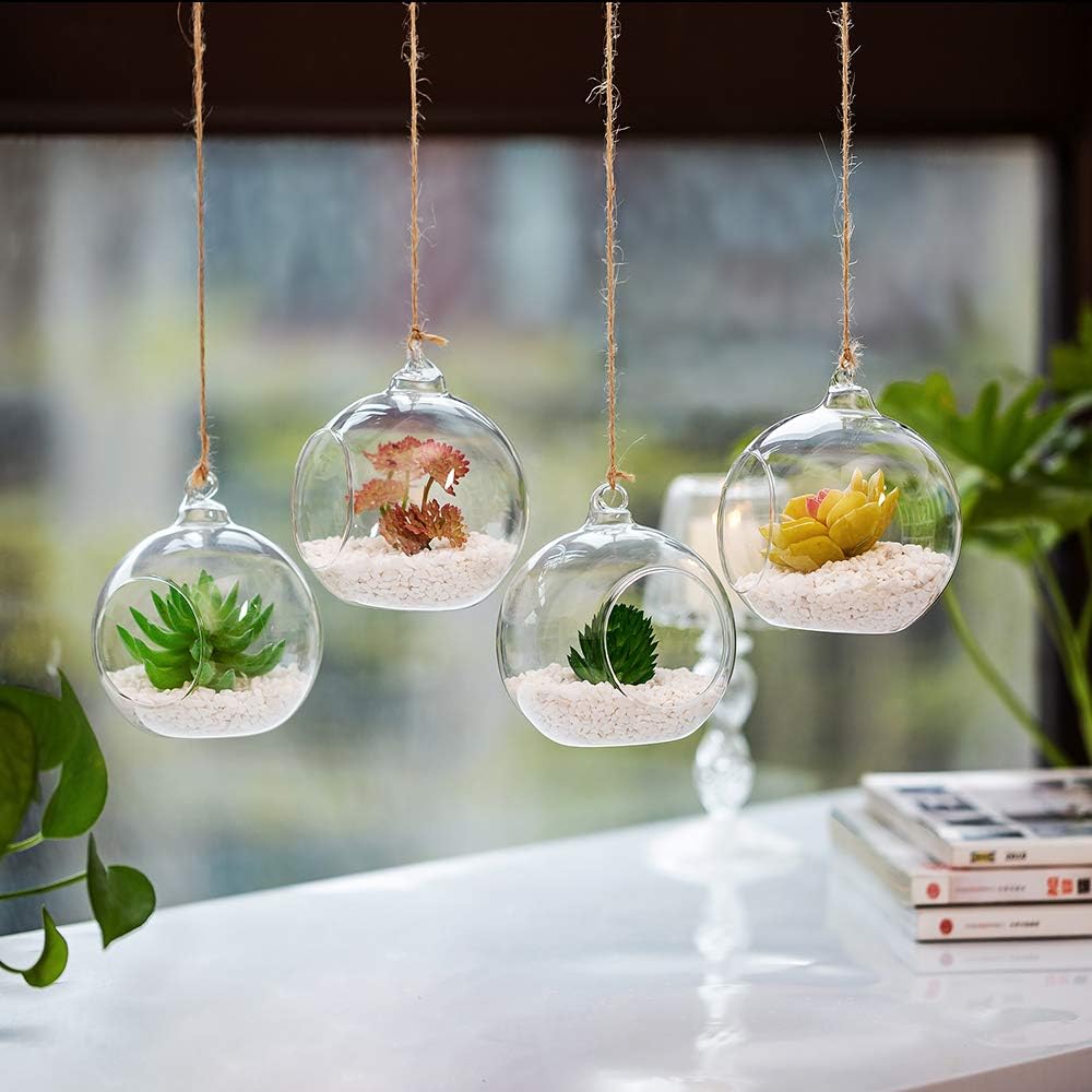 NUPTIO Hanging Glass Terrarium Planters, 4 Pcs, 4 Inch