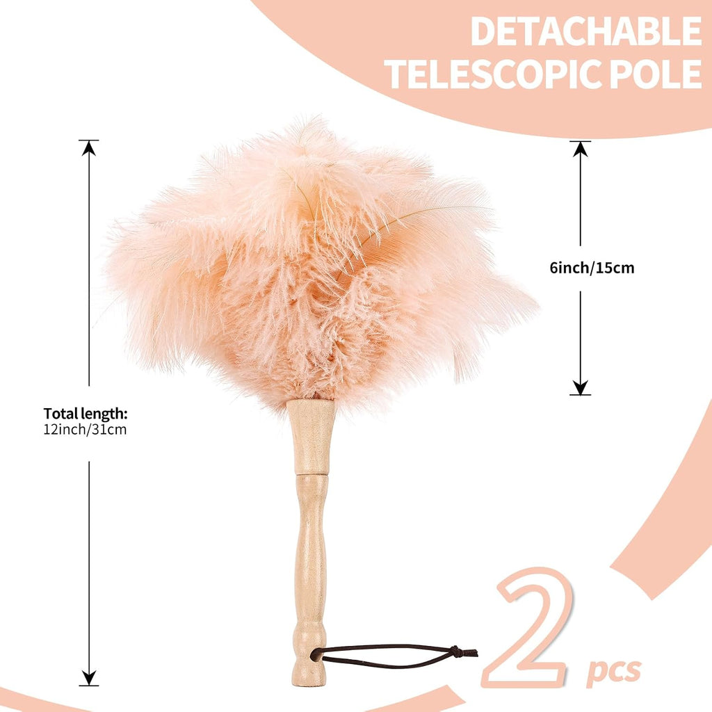 Ostrich Feather Duster 12 Inch Handheld Duster Supplies, Wooden Handle Feather Duster for Cleaning Keyboard Home Car Office (Champagne 2Pcs)