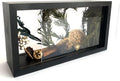 Shadow Box Frame,Wooden Double-Sided High-Definition Plexiglass Storage Box, DIY Display Box, Suitable for Dried Flowers, Specimens, Handicrafts, Baby Souvenirs and Photos (Black)