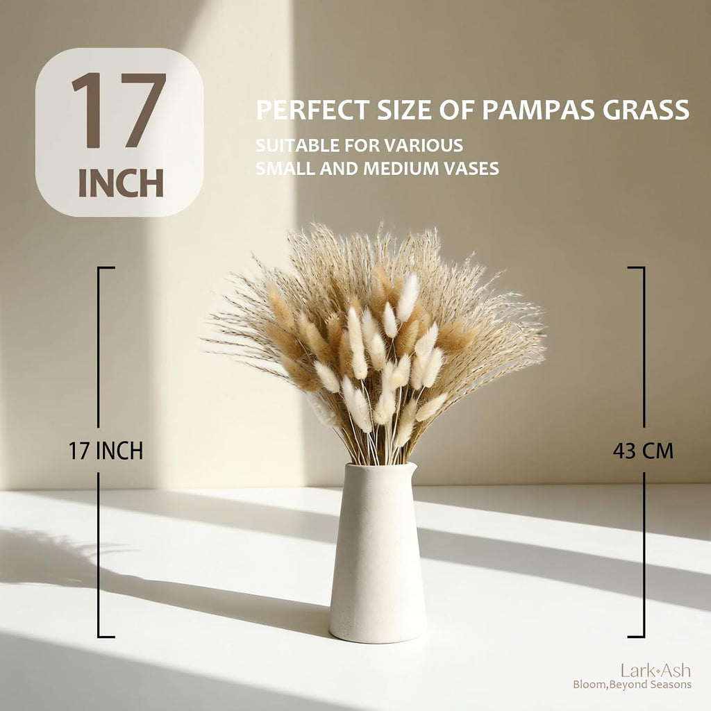 Dried Pampas Grass (125)