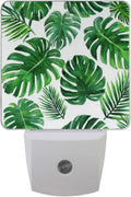 Vdsrup Summer Palm Leaves Night Light Set of 2 Tropical Jungle Plug-in LED Nightlights Auto Dusk-to-Dawn Sensor Lamp for Bedroom Bathroom Kitchen Hallway Stairs