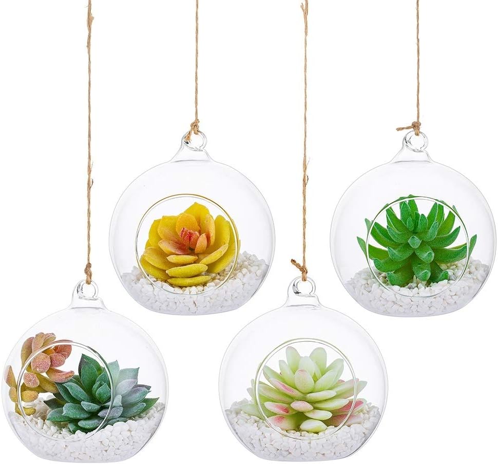 NUPTIO Hanging Glass Terrarium Planters, 4 Pcs, 4 Inch